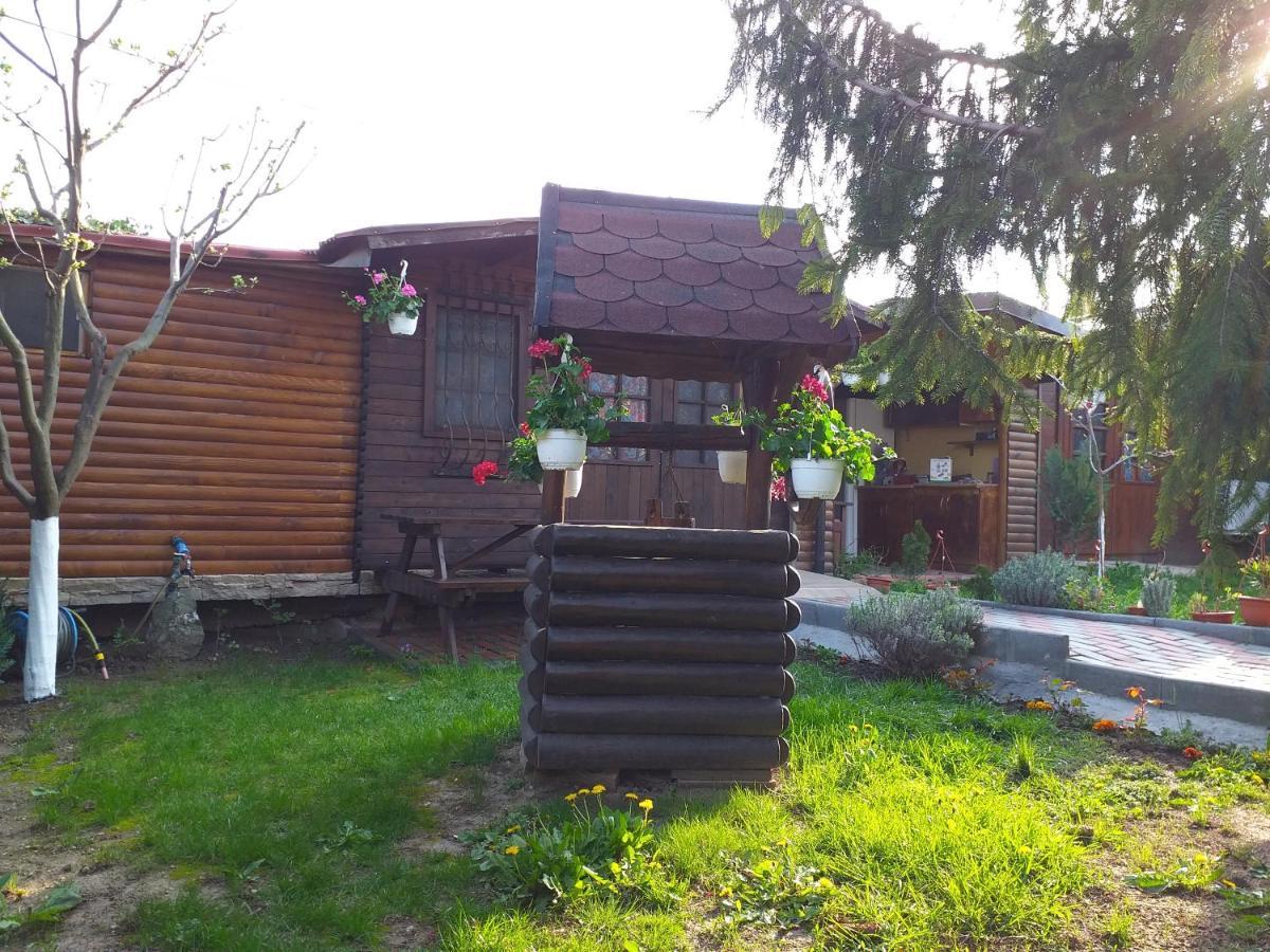 דירות מנגליה Casa Mola מראה חיצוני תמונה