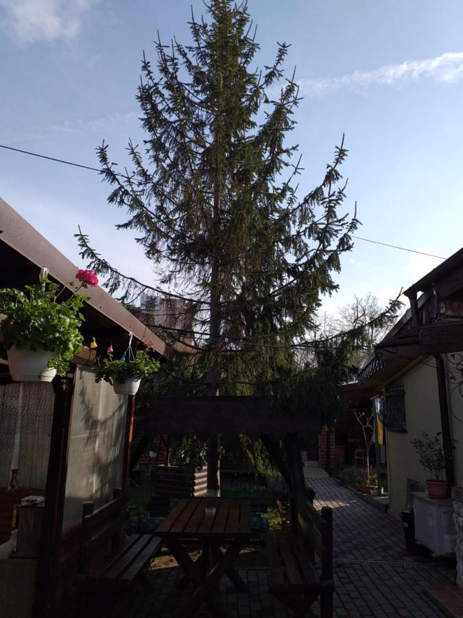דירות מנגליה Casa Mola מראה חיצוני תמונה